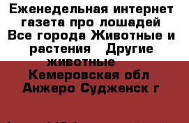 Еженедельная интернет - газета про лошадей - Все города Животные и растения » Другие животные   . Кемеровская обл.,Анжеро-Судженск г.